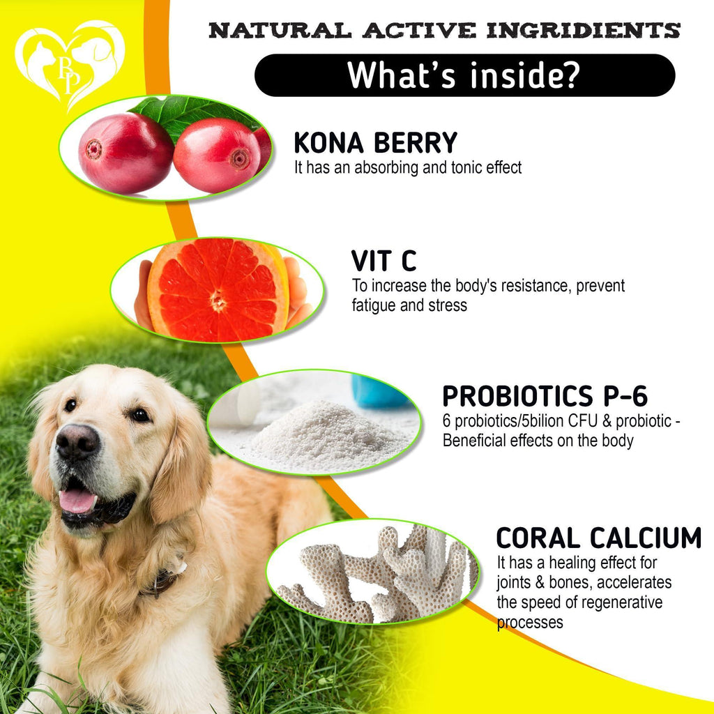 Dog Allergy Relief Chews Salmon Omega-3 Probiotics – photo 4 of 6