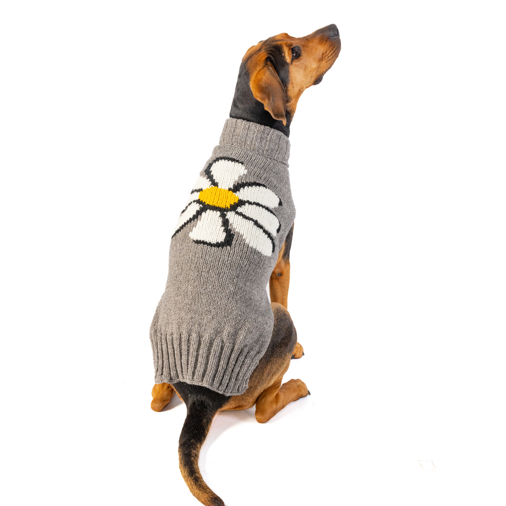 Big Daisy Dog Sweater White Yellow and Gray with Harness Hole – photo 3 of 6