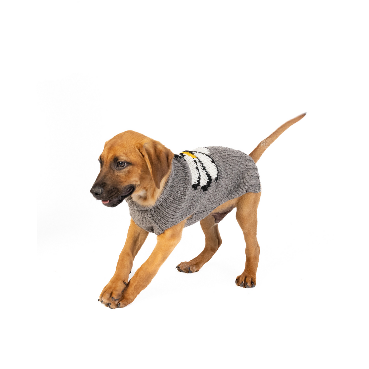 Big Daisy Dog Sweater White Yellow and Gray with Harness Hole – photo 4 of 6