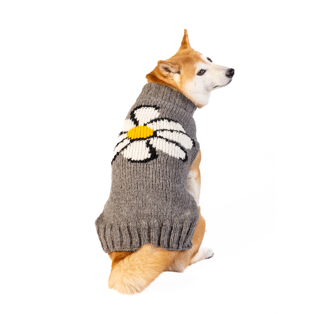 Big Daisy Dog Sweater White Yellow and Gray with Harness Hole – photo 1 of 6