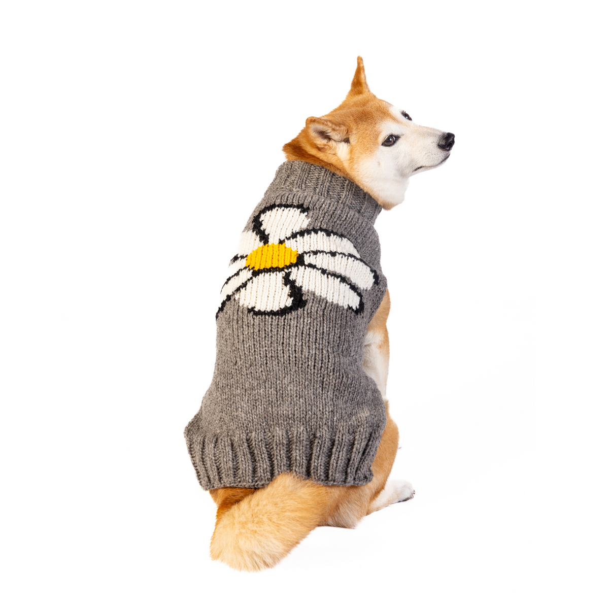 Big Daisy Dog Sweater White Yellow and Gray with Harness Hole – photo 1 of 6
