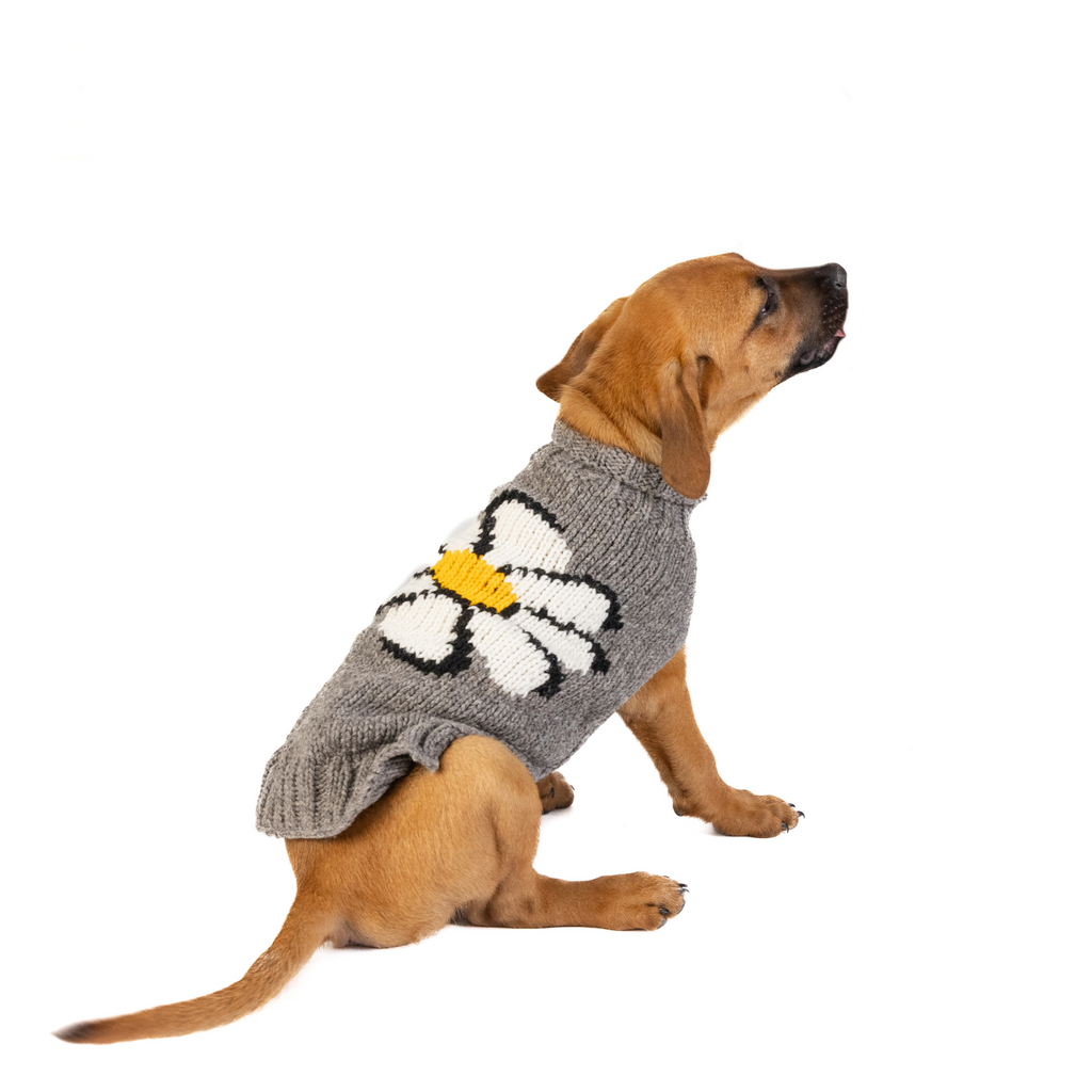 Big Daisy Dog Sweater White Yellow and Gray with Harness Hole – photo 2 of 6