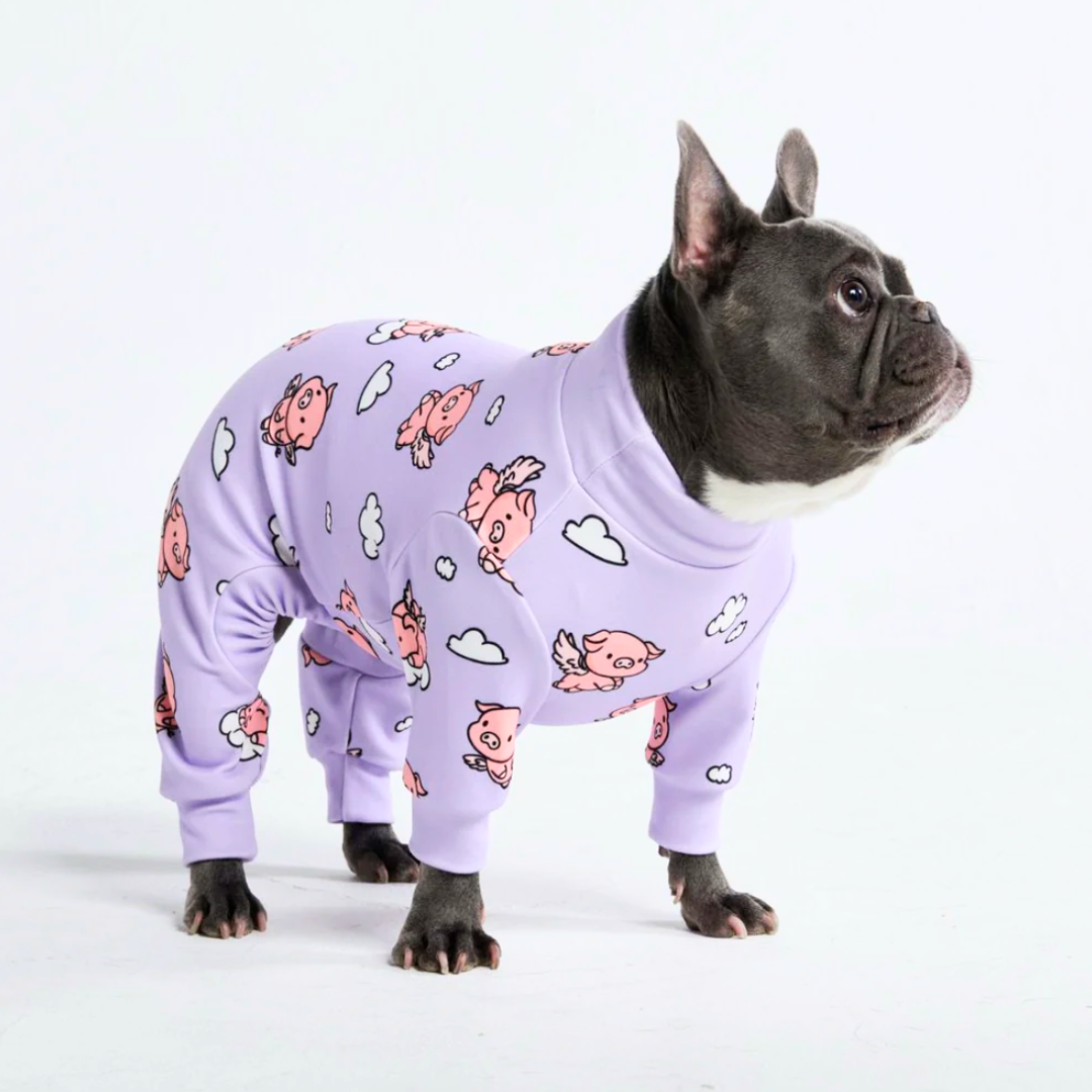 When Pigs Fly Dog Pajama – alternate view 2