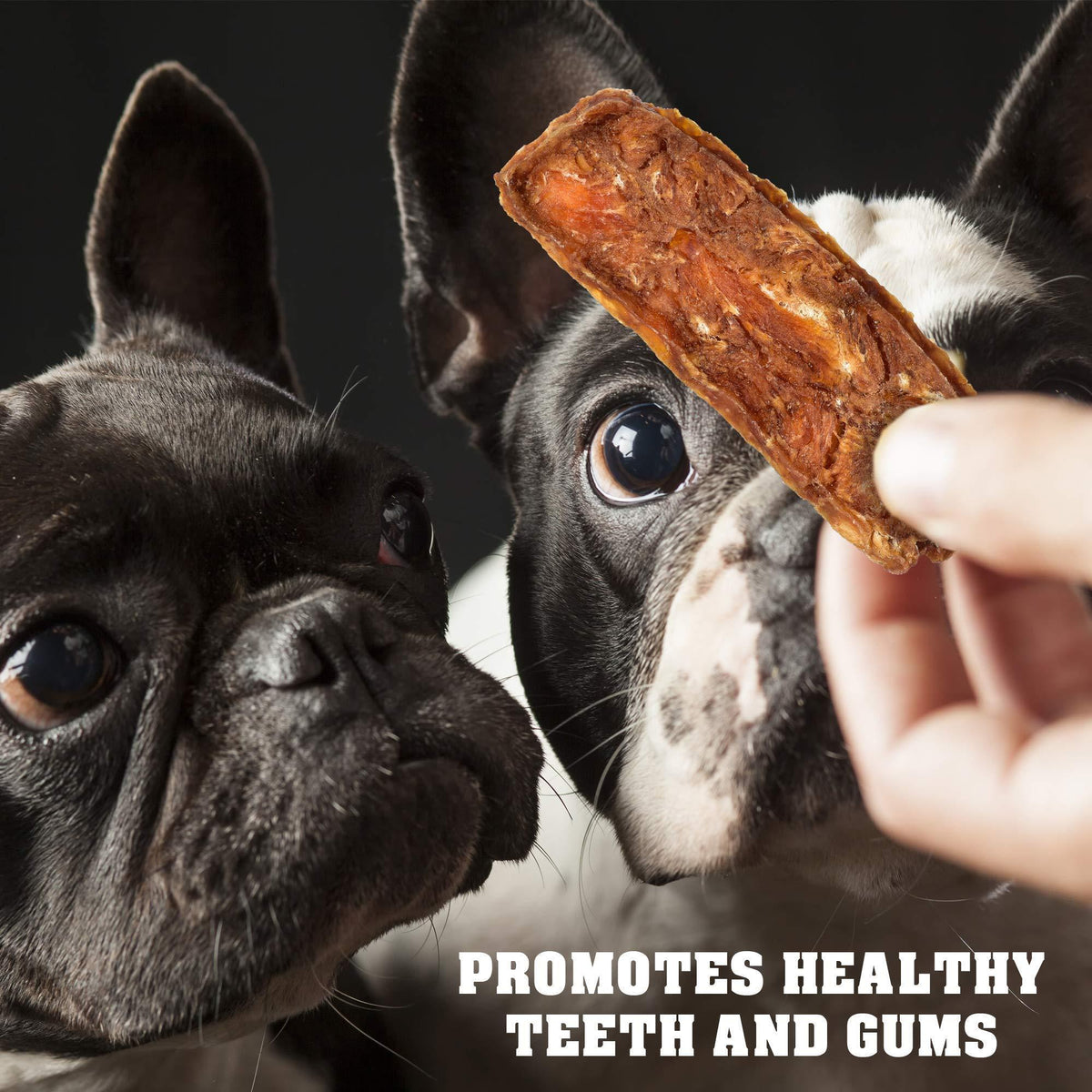 Chicken Jerky Dog Treats Human-Grade Grain-Free 1.5 lb – photo 4 of 7