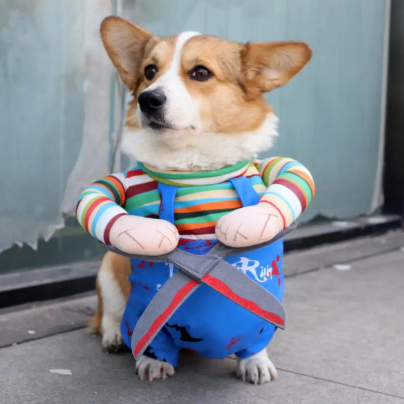 Scissor Hands Dog Costume – Halloween – alternate view 3