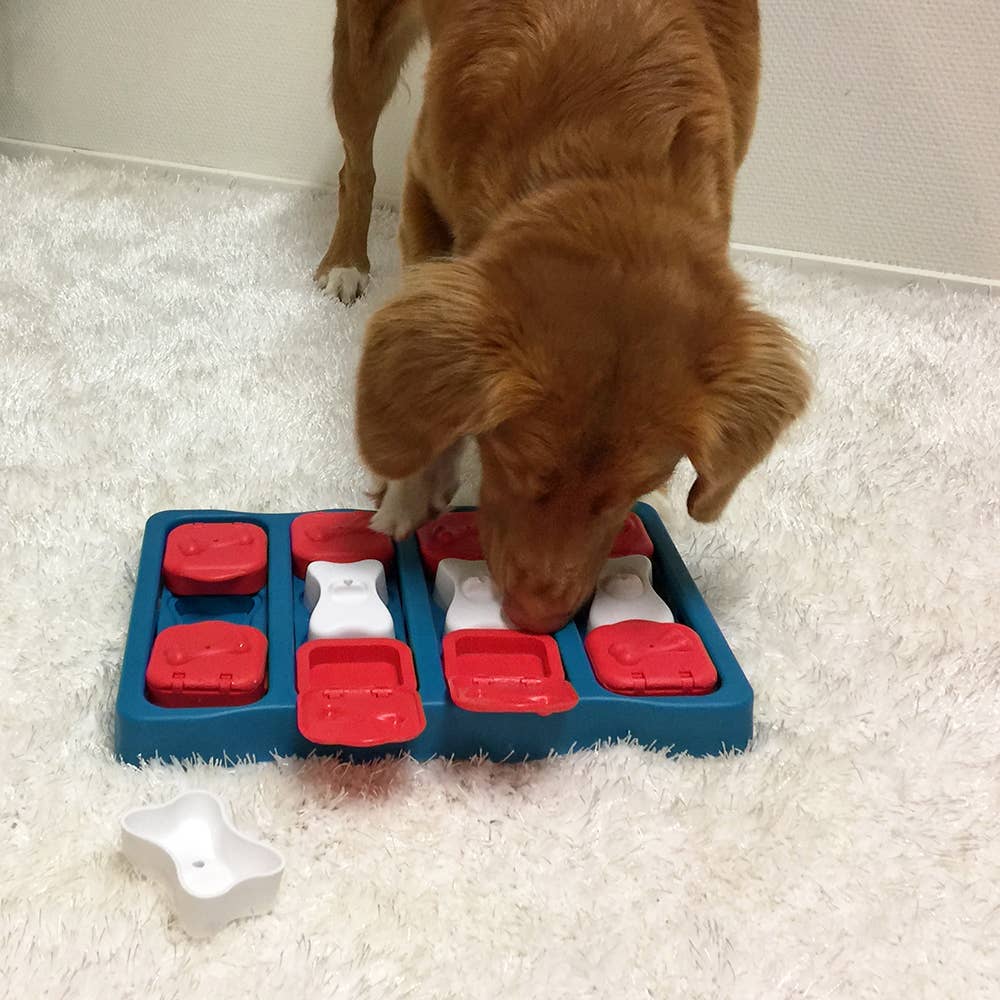 Nina Ottosson Dog Brick Interactive Treat Puzzle – Blue – alternate view 5