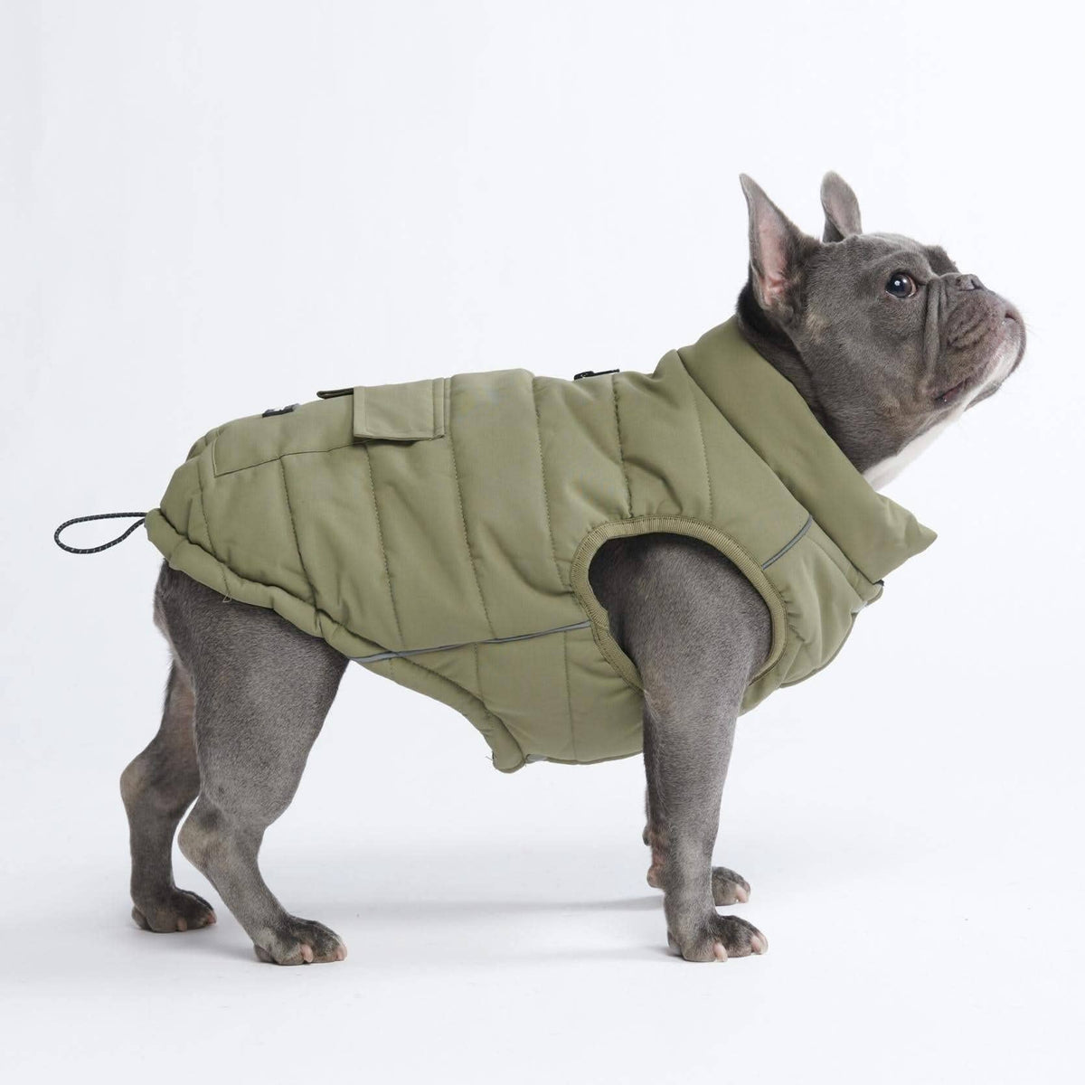 WarmShield Water-Resistant Dog Jacket – Olive – front view
