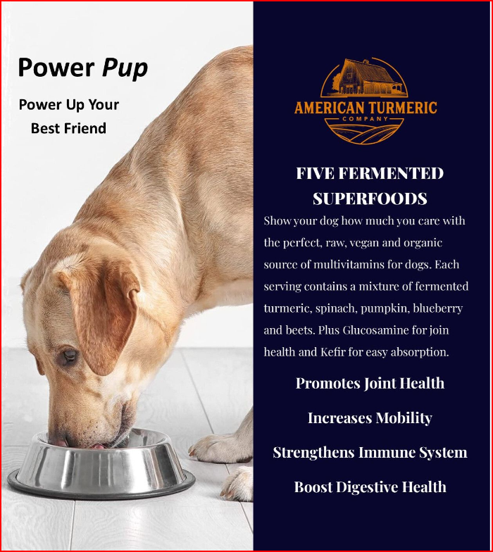 Power Pup Fermented Turmeric Powder for Dogs – Lead-Free, Superfood Meal Topper – detail