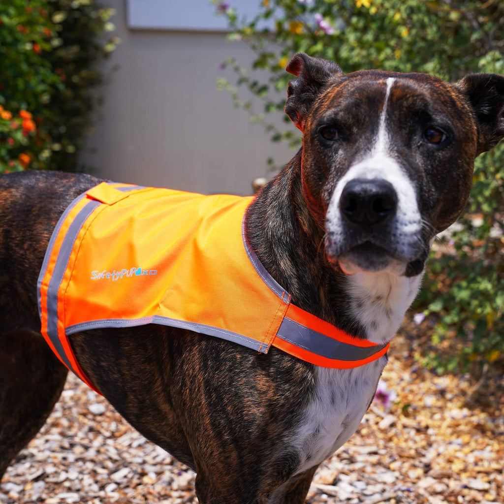 SafetyPUP XD Lite Lightweight Dog Vest M Blaze Orange – photo 8 of 8