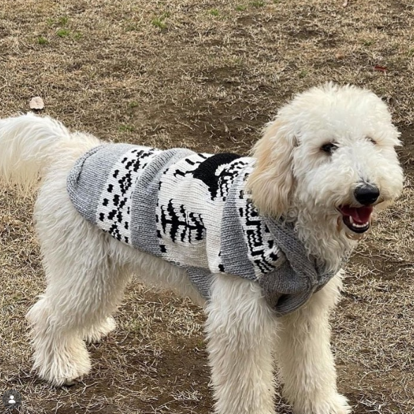 Reindeer Shawl Dog Sweater Grey and Charcoal – photo 4 of 5