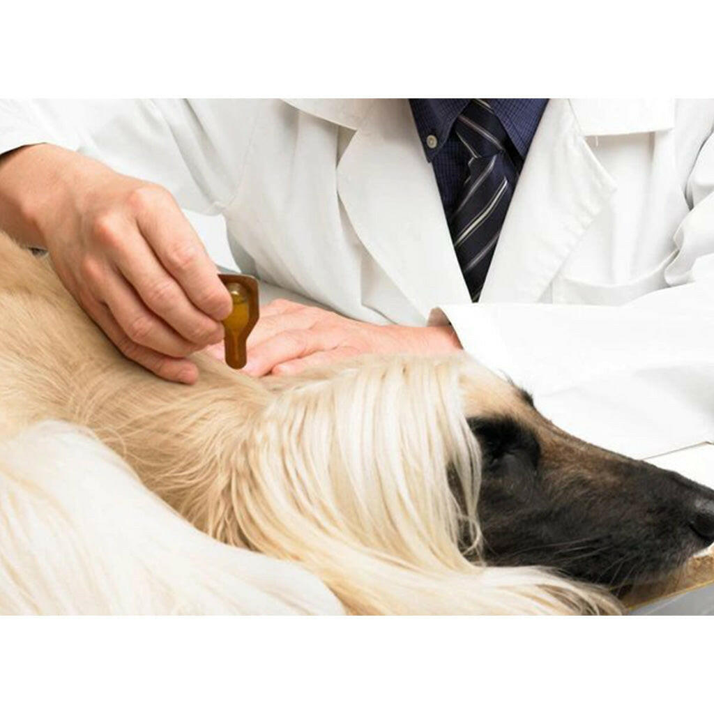 Dermoscent Essential-6 Spot-On Medium Dogs – photo 6 of 6