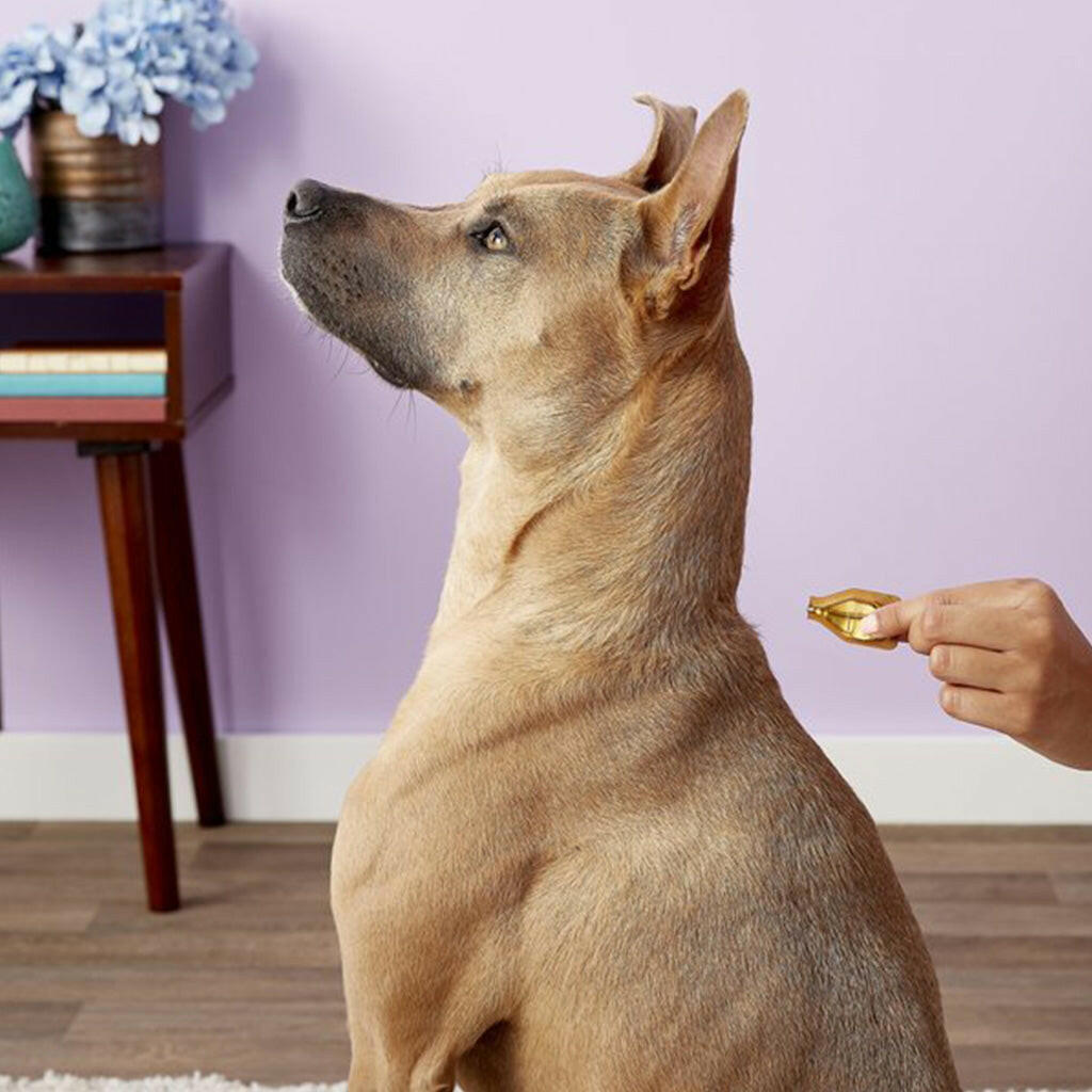 Dermoscent Essential-6 Spot-On Medium Dogs – photo 4 of 6