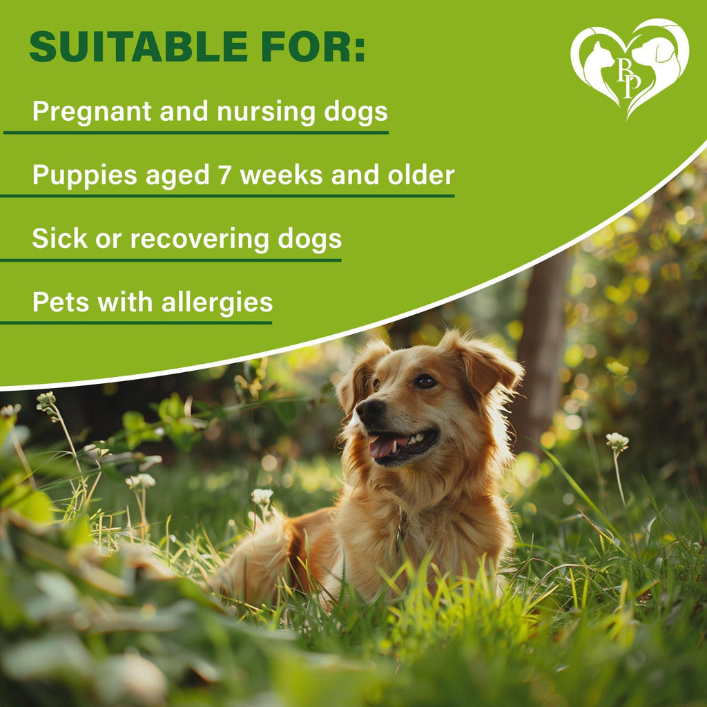 Flea and Tick Collar for Dogs 6-Month Essential Oil Repellent – photo 6 of 8