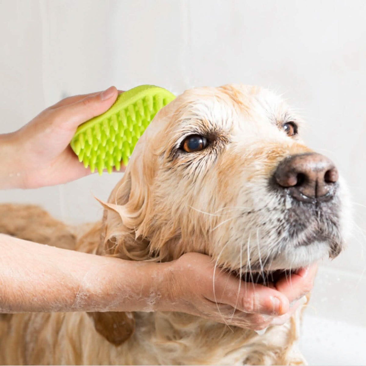 Dog Bath Brush Silicone Massage Comb Anti-Skid Grip – photo 11 of 11