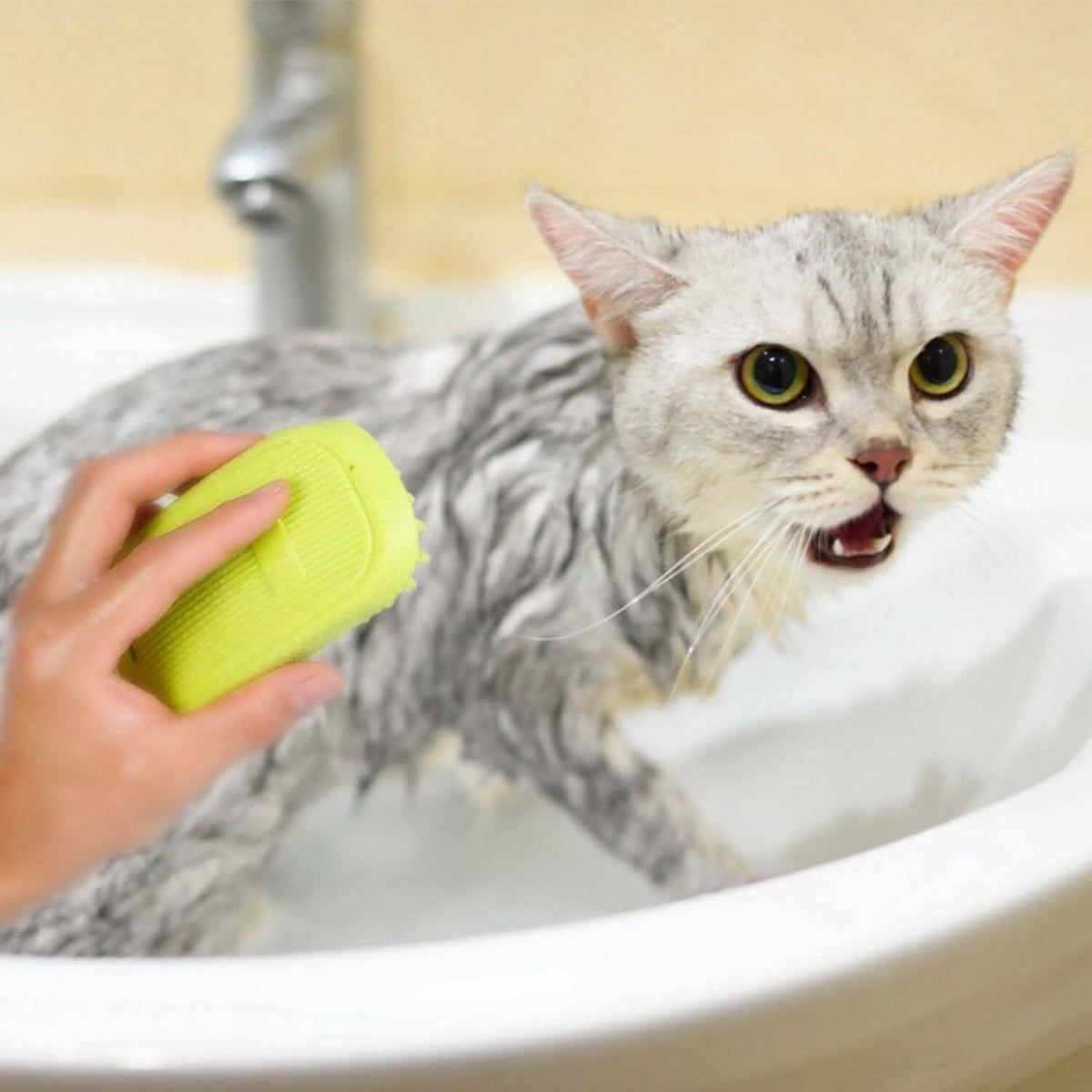 Dog Bath Brush Silicone Massage Comb Anti-Skid Grip – photo 10 of 11