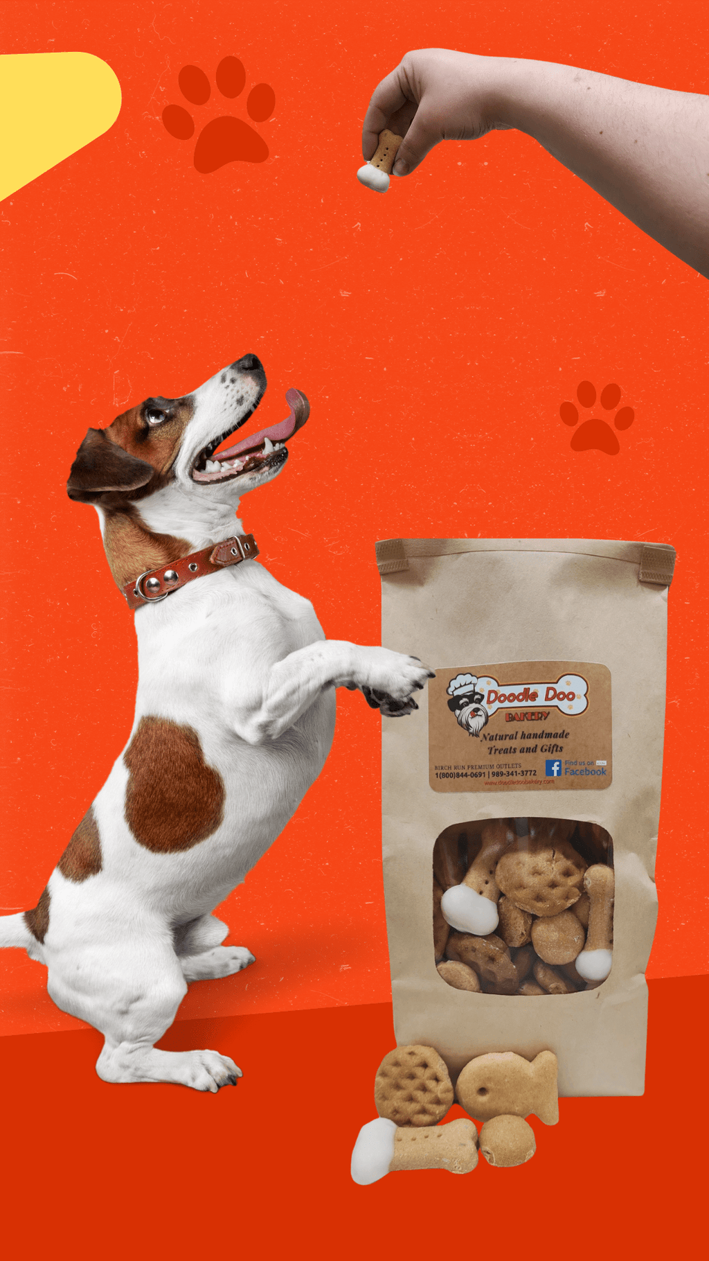 Homemade Dog Treat Party Bag – 1 lb Variety Mix – front view