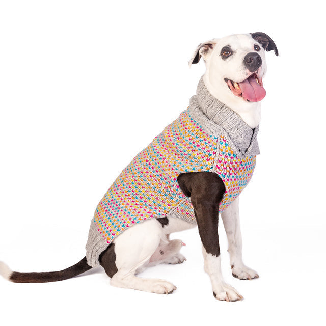 Sprinkles Dog Sweater Birthday Cake Design – photo 1 of 9