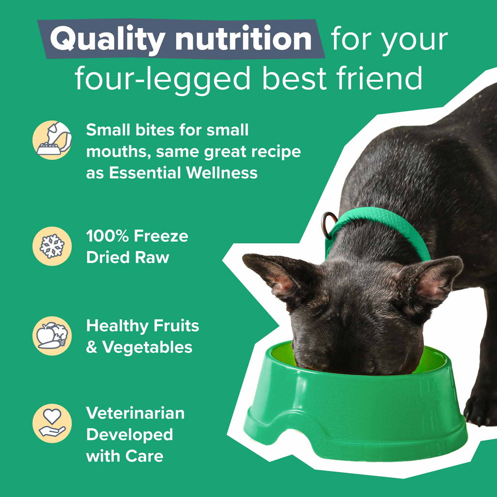 Dr Marty Natures Blend Small Bites Freeze Dried – photo 7 of 17