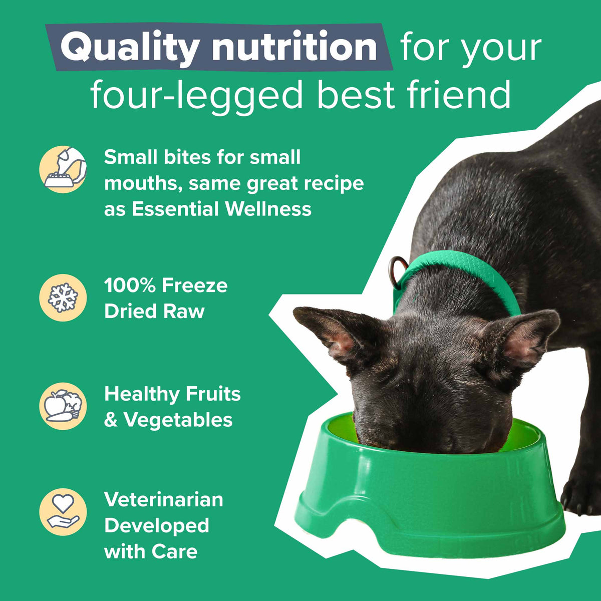 Dr Marty Natures Blend Small Bites Freeze Dried – photo 7 of 17