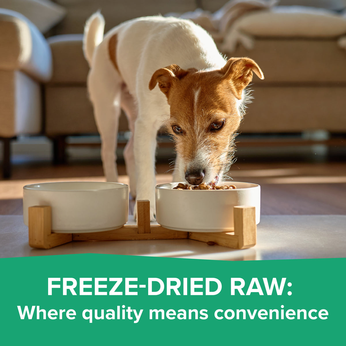 Dr Marty Natures Blend Small Bites Freeze Dried – photo 5 of 17