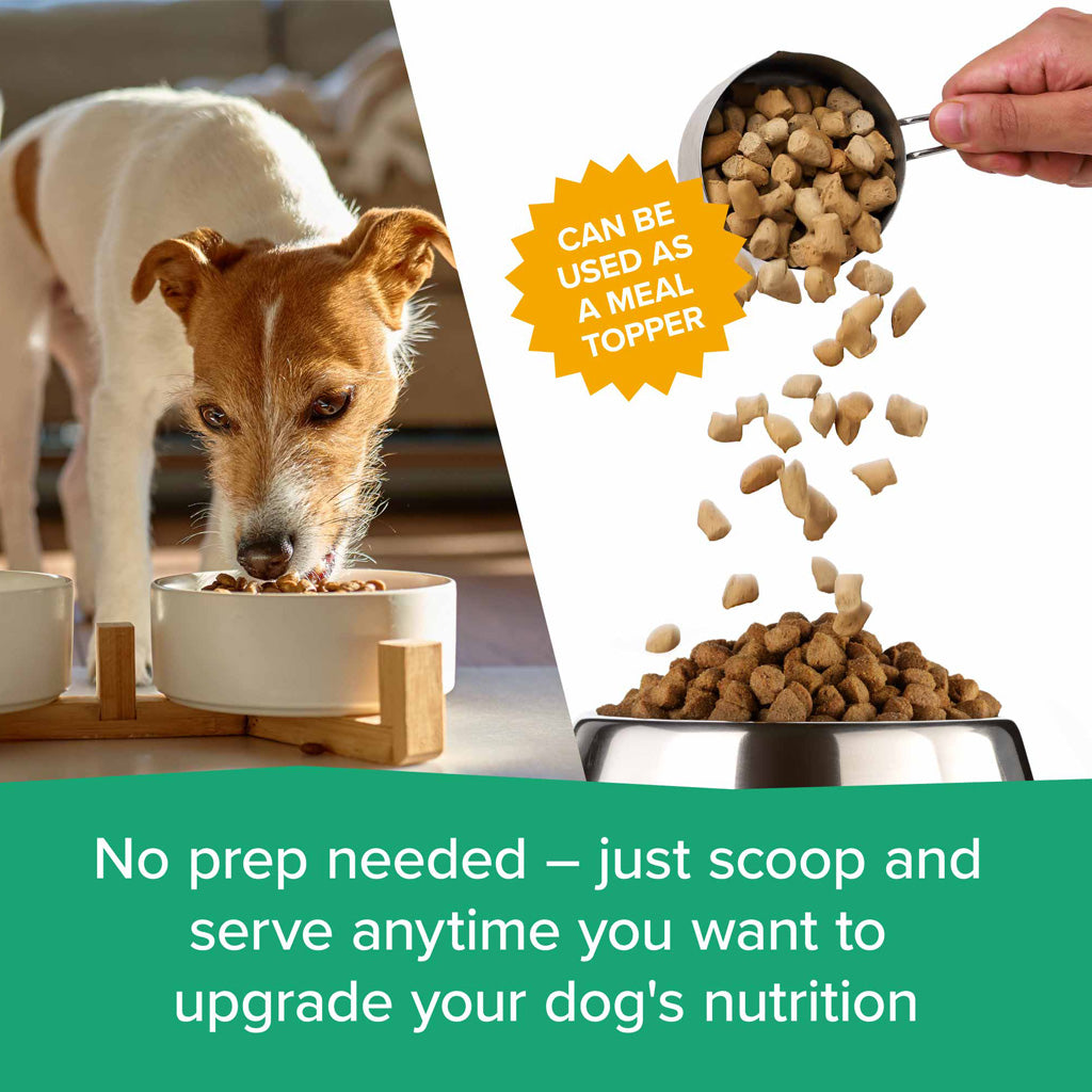 Dr. Marty Nature's Blend Sensitivity Select Small Bites Freeze-Dried Raw Dog Food – photo 18 of 18