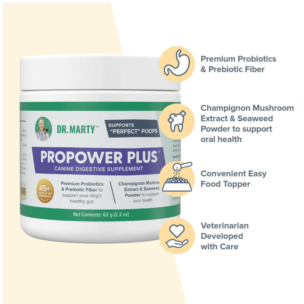 Dr Marty ProPower Plus Digestive Powder – photo 4 of 6