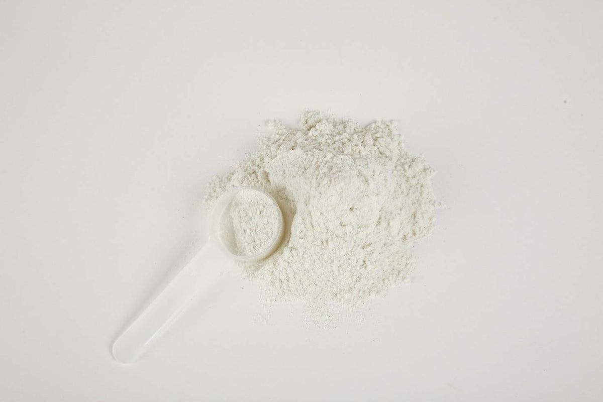 Dr Marty ProPower Plus Digestive Powder – photo 6 of 6