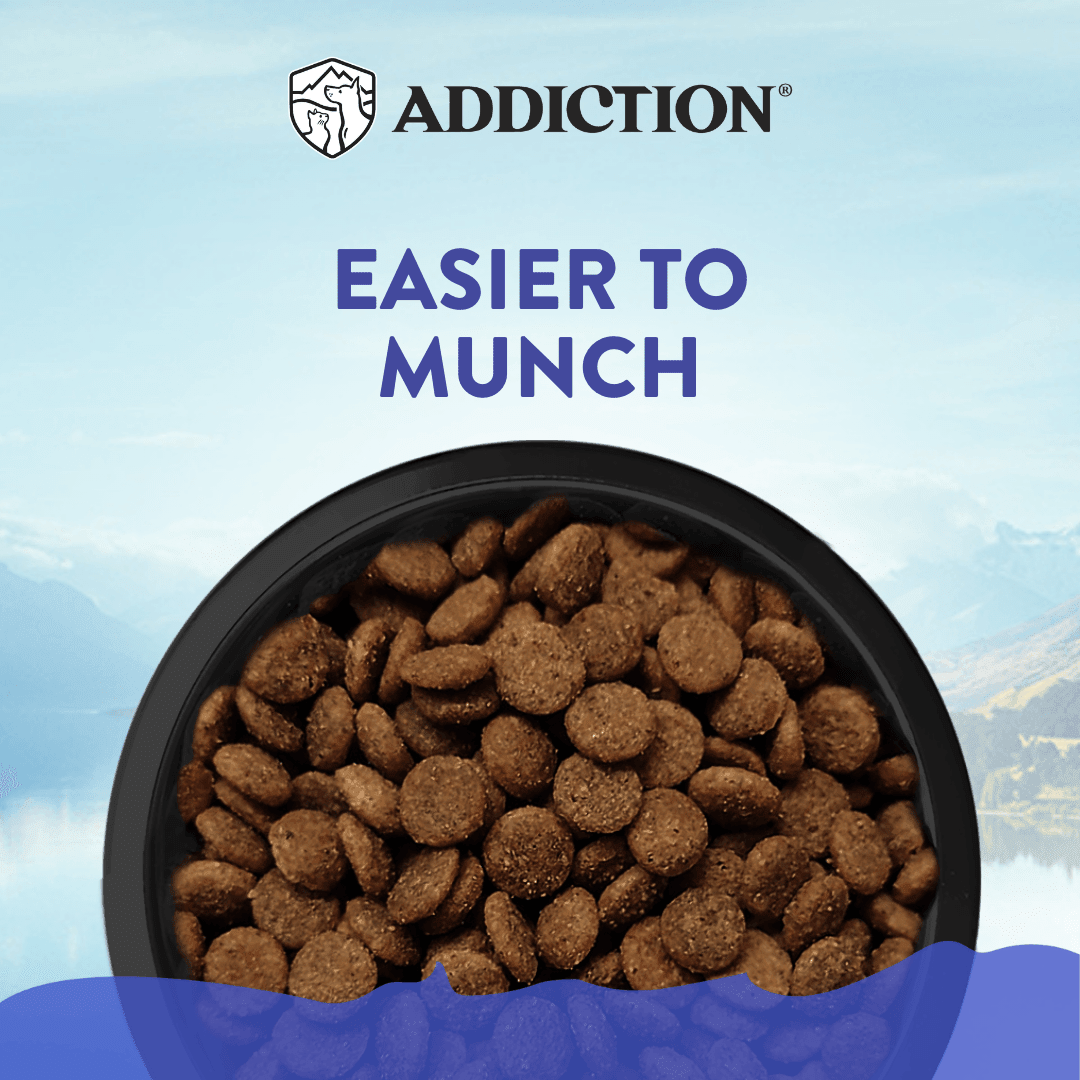 Duck Royale Entrée small breed dry dog food product image 4