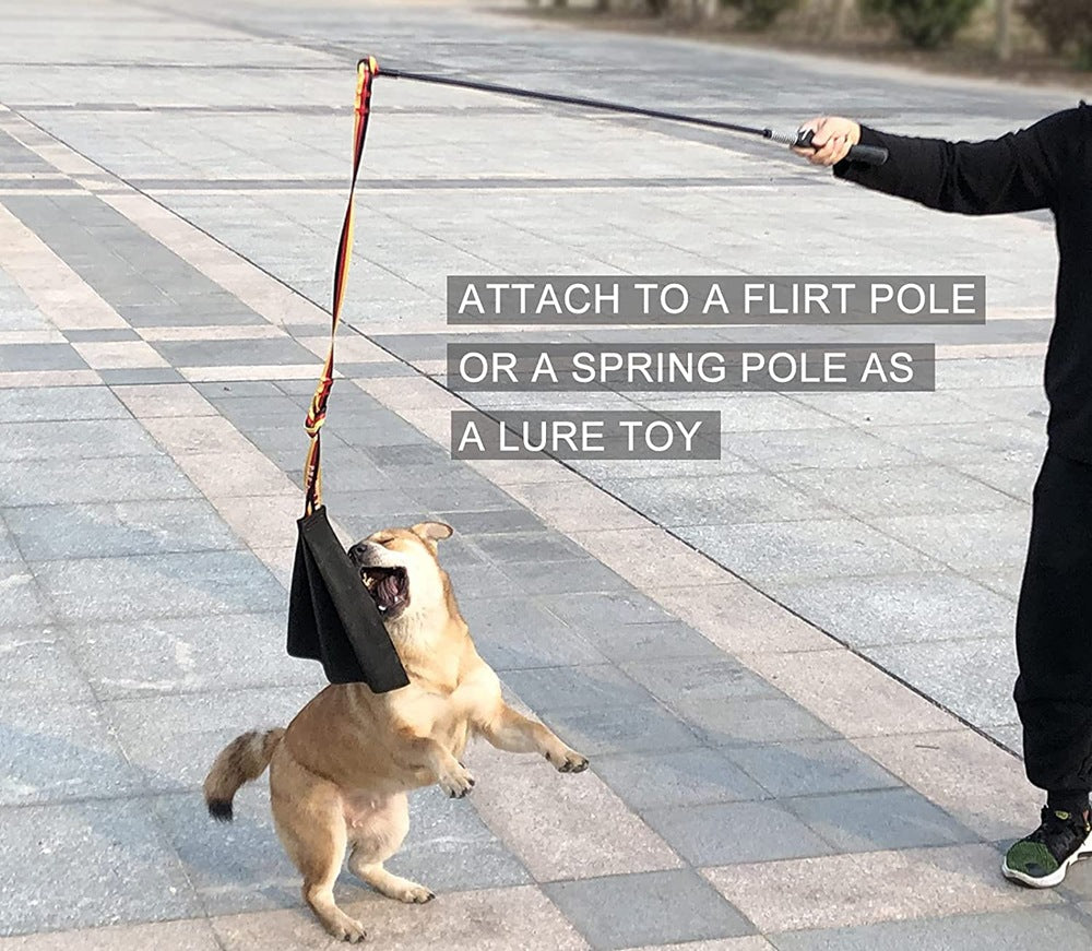 Cowhide Bite Training Toy for Dogs – Interactive – alternate view 6