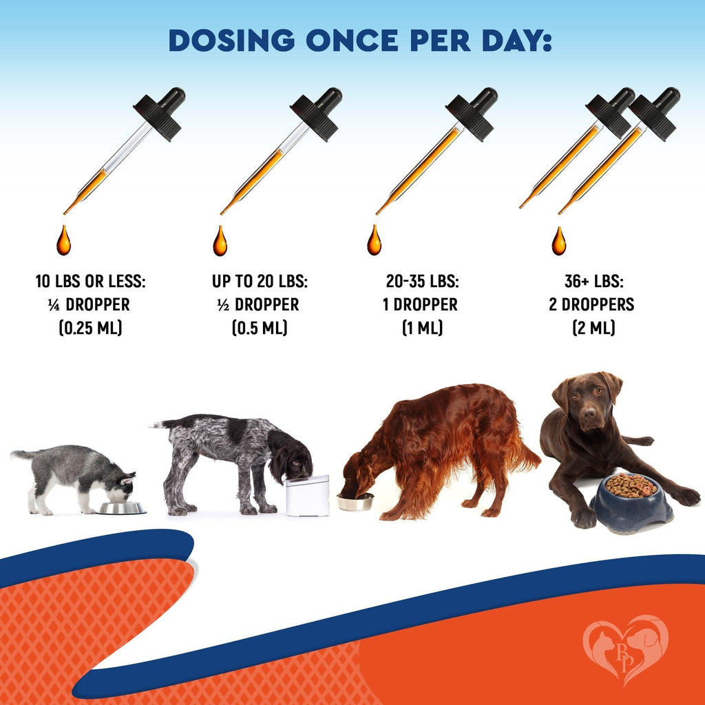 Yeast and anti-itch supplement drops for dogs – photo 5 of 6