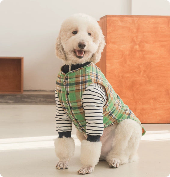 Thermal Dog Clothing for Large Dogs Green Navy – photo 6 of 6