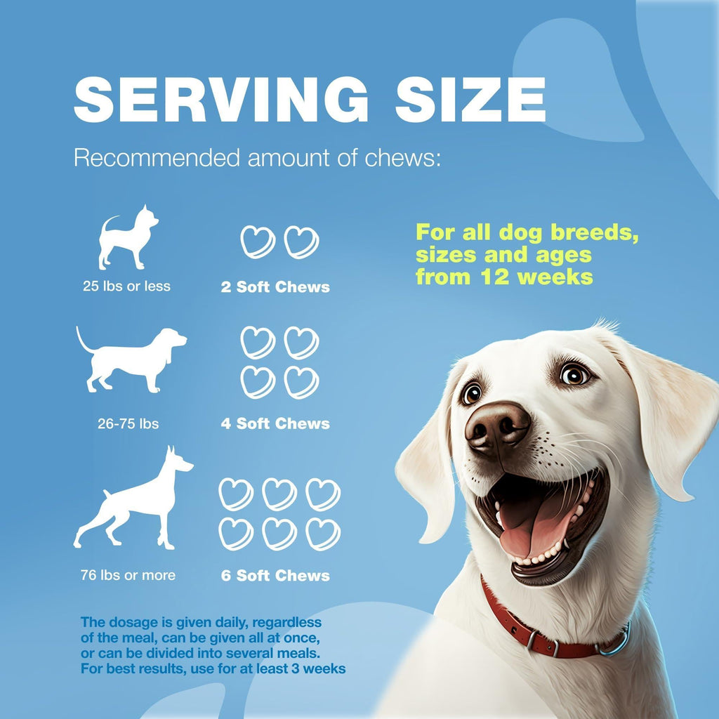 Hemp Calming Chews for Dogs L-Theanine Chamomile Beef Flavor – photo 8 of 9