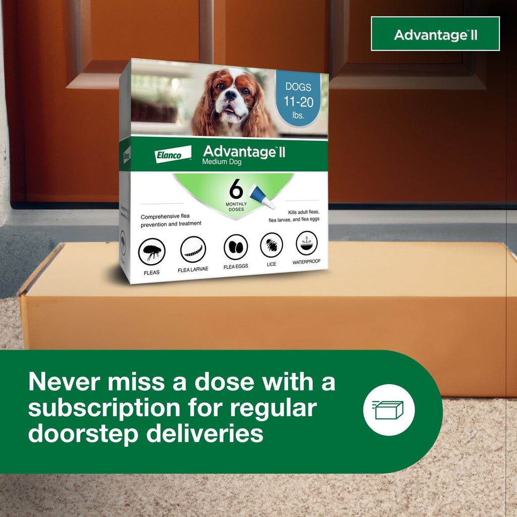 Vet-Recommended Flea Prevention for Medium Dogs 11-20 Lbs 6-Monthly Tr, lifestyle