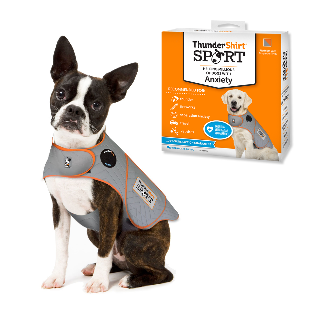 ThunderShirt Platinum Sport for Dogs – Anxiety Relief – alternate view 4