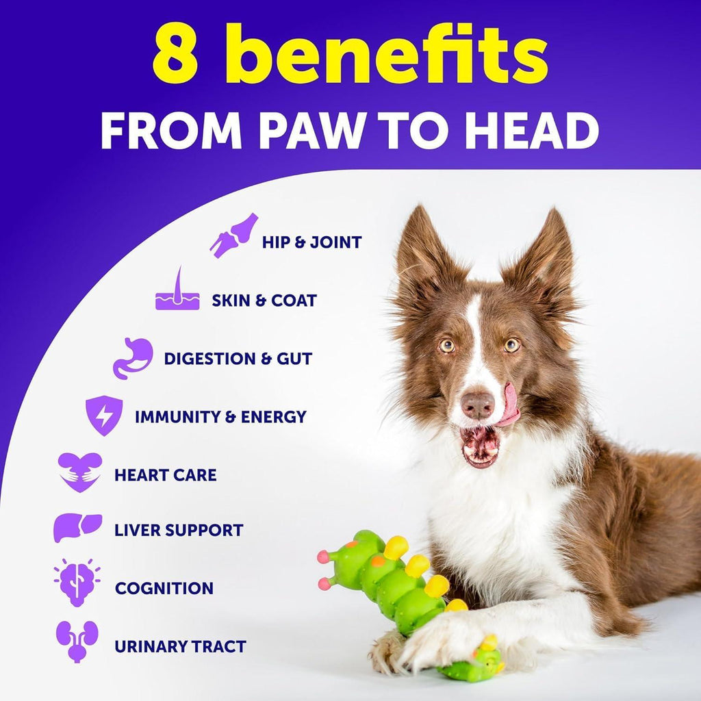 Dog Multivitamin Chews 20-in-1 with Glucosamine – photo 3 of 7