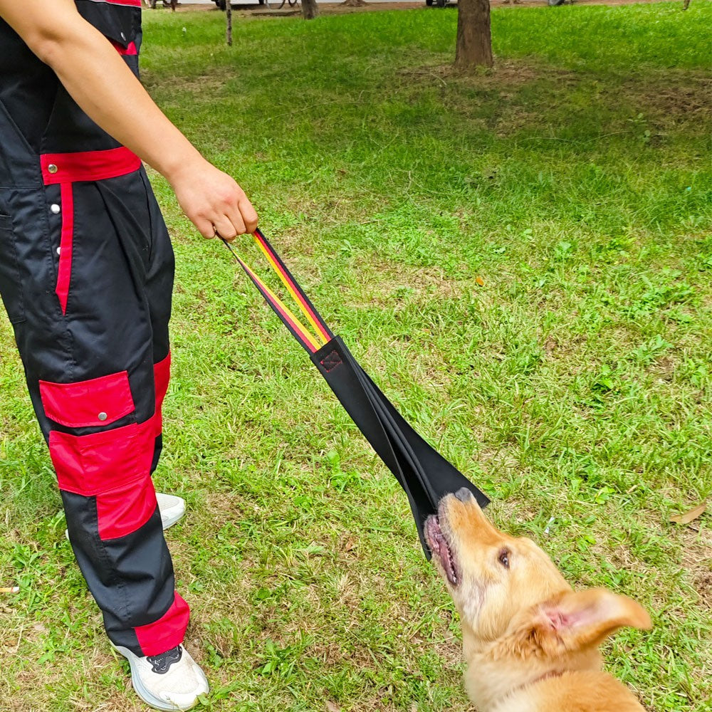 Cowhide Bite Training Toy for Dogs – Interactive – alternate view 10