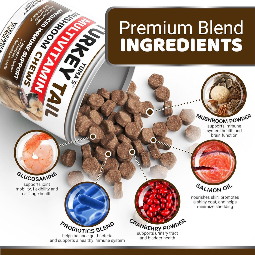 Turkey Tail mushroom blend supplement chews for dogs – photo 3 of 5