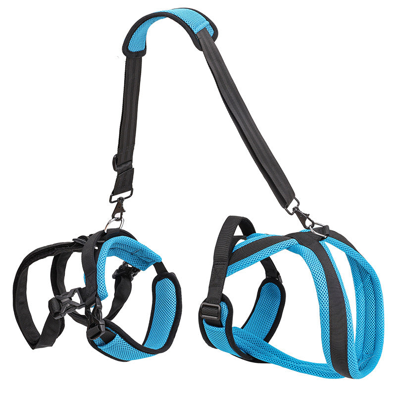 Dog Auxiliary Strap Polyester Hand-Holding Rope Blue – photo 4 of 6