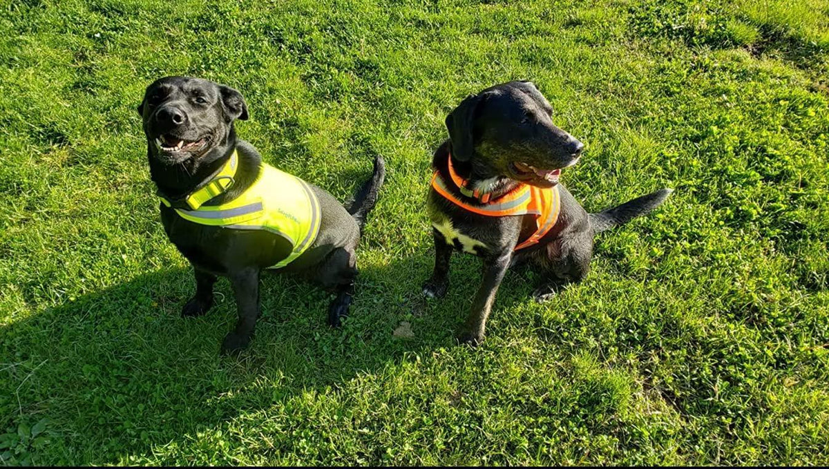 SafetyPUP XD Lite Lightweight Dog Vest L Neon Yellow – photo 3 of 3