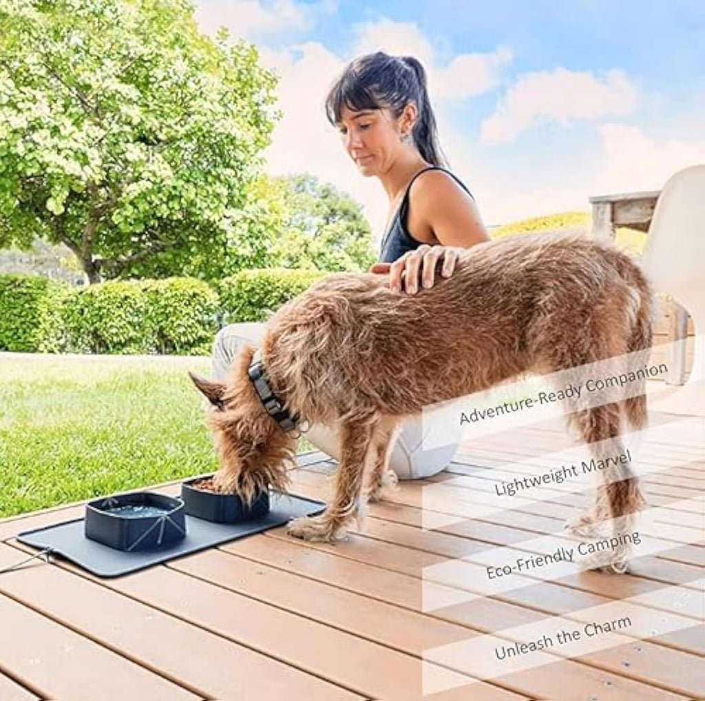 Collapsible Silicone Double Travel Bowl for Dogs & Cats – alternate view 5