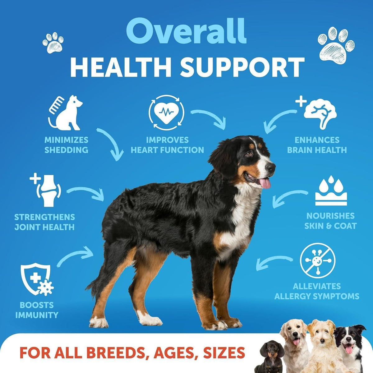 Omega-3 Fish Oil for Dogs 8 fl oz Salmon and Pollock – photo 2 of 7