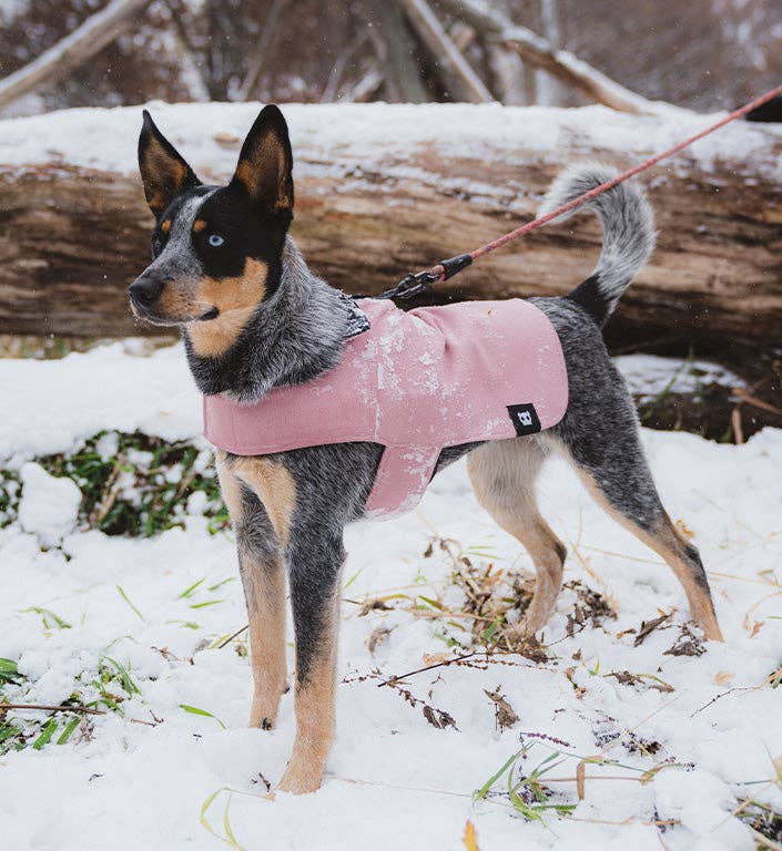 Pink Dog Coat – alternate view 11