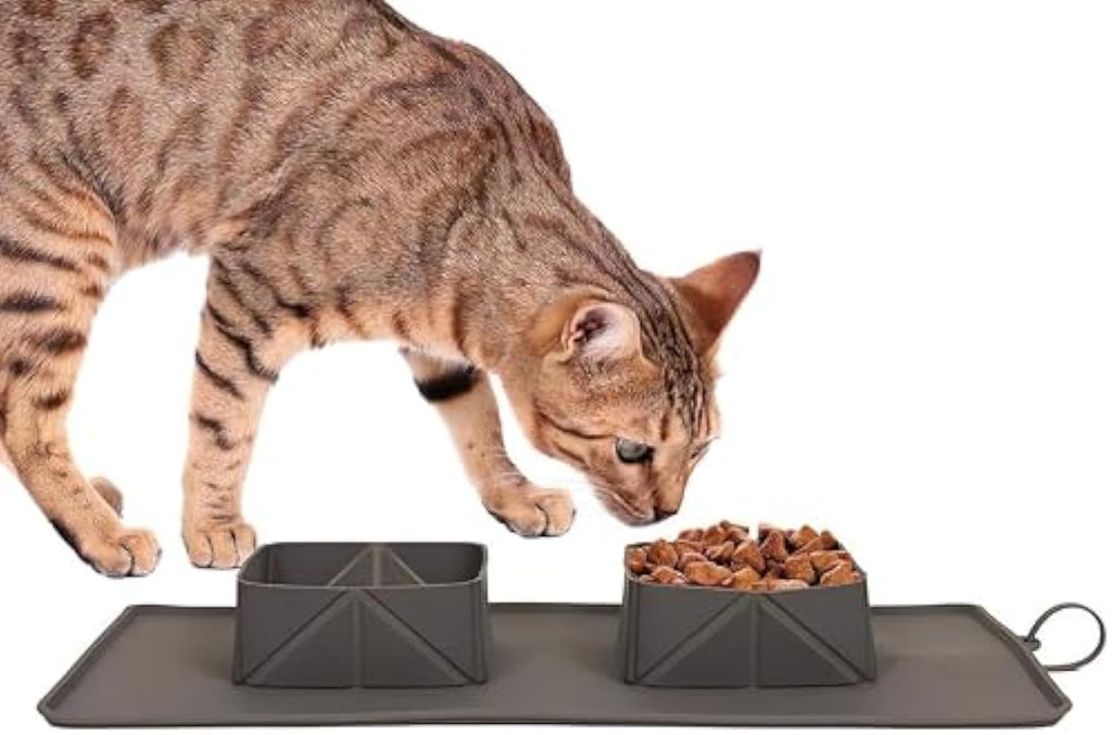 Collapsible Silicone Double Travel Bowl for Dogs & Cats – alternate view 6