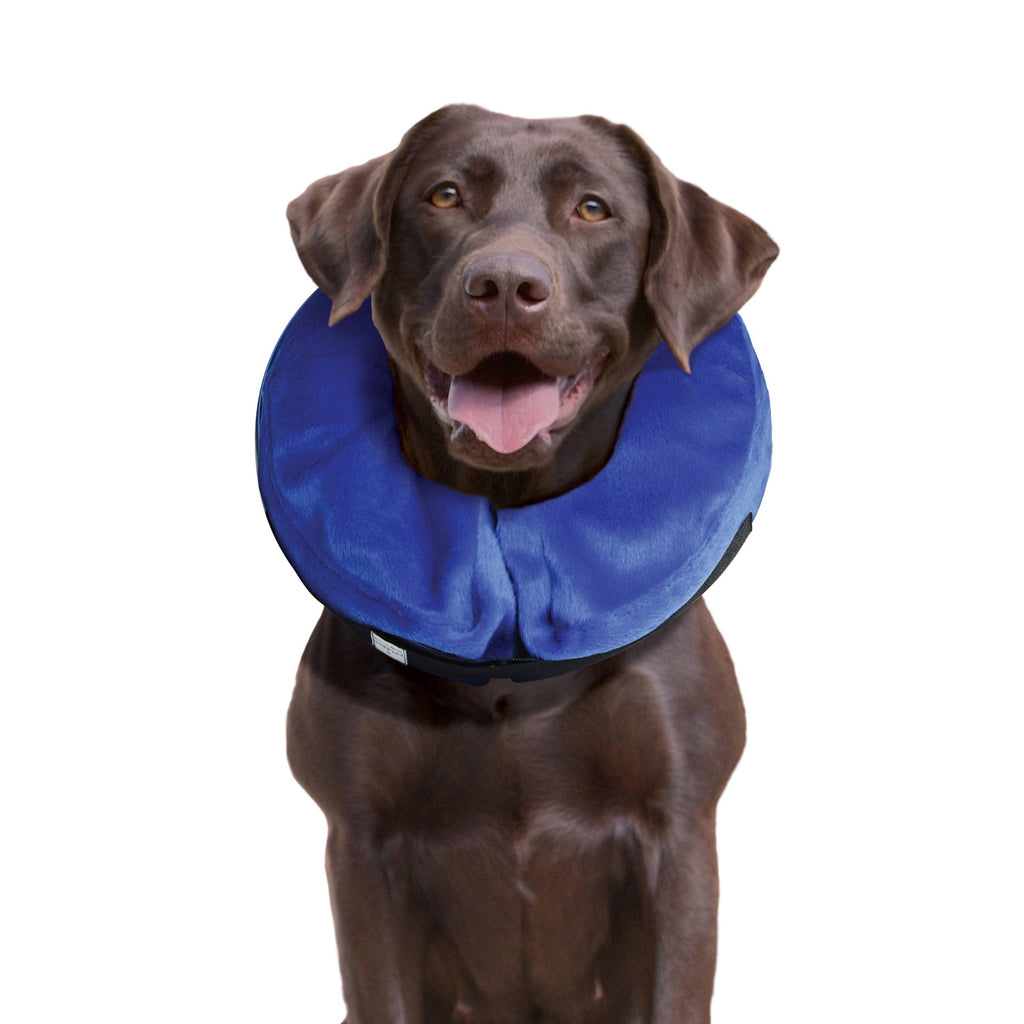 KONG® E-Collar Cloud® Large – alternate view 4