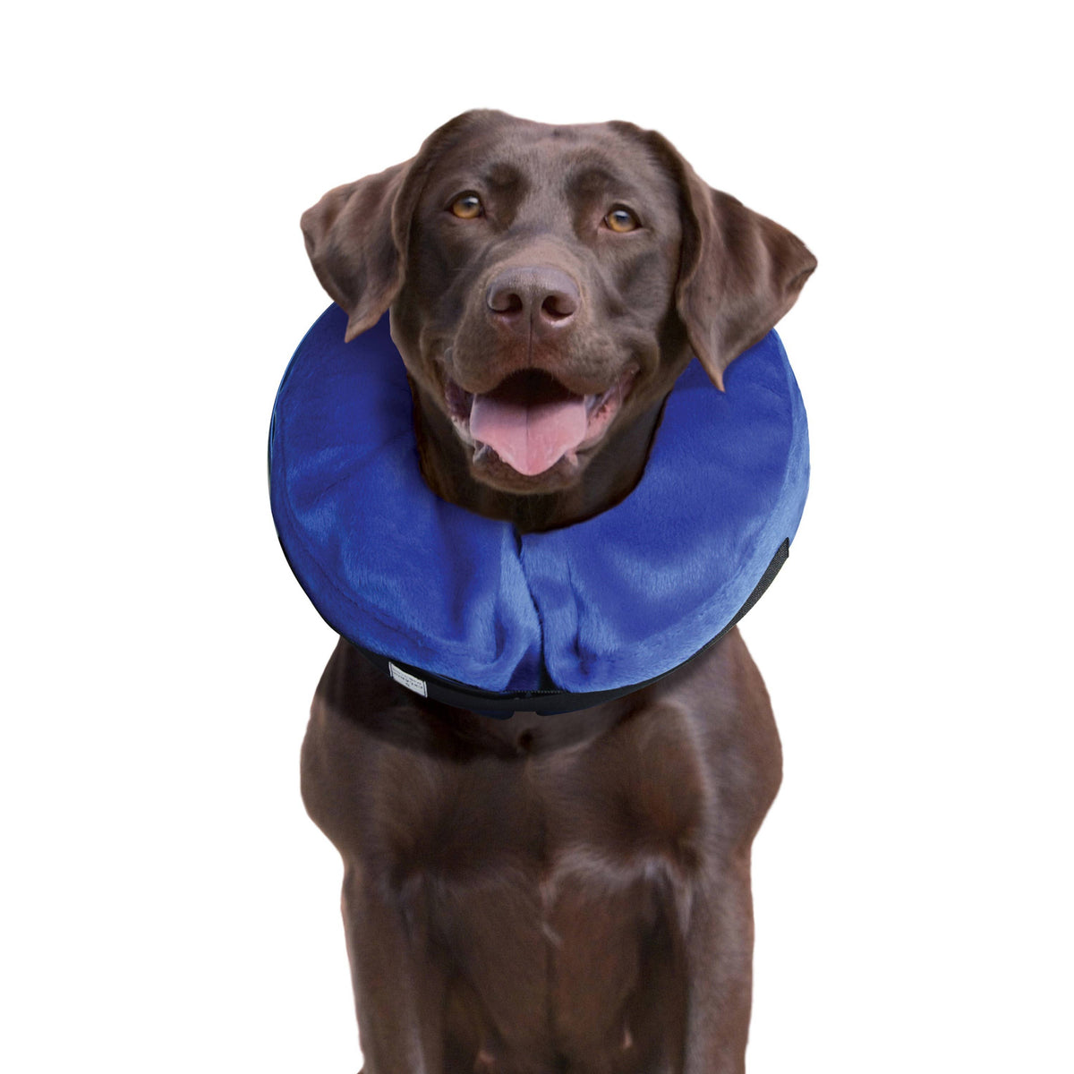 KONG® E-Collar Cloud® Large – alternate view 4