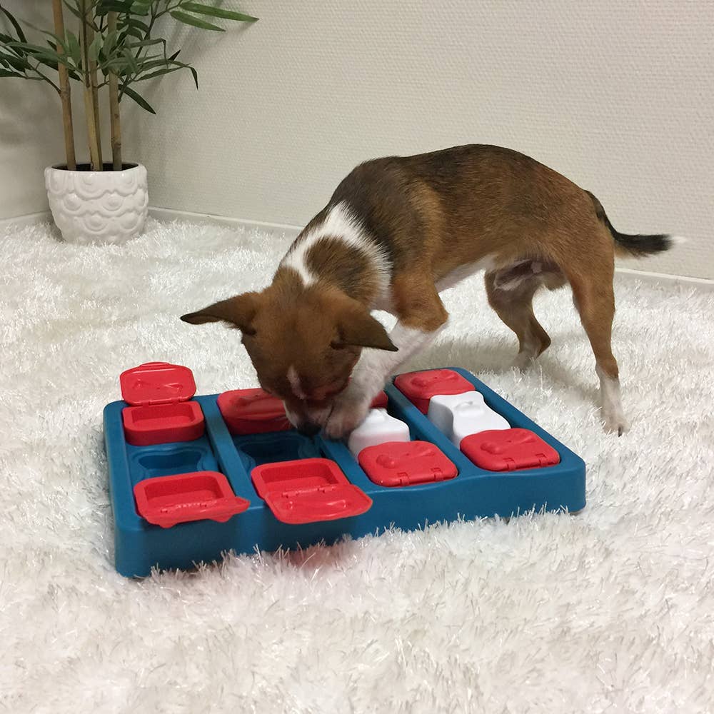 Nina Ottosson Dog Brick Interactive Treat Puzzle – Blue – alternate view 4