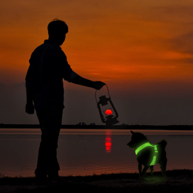 Rechargeable LED Lighted Mesh Dog Harness – alternate view 2