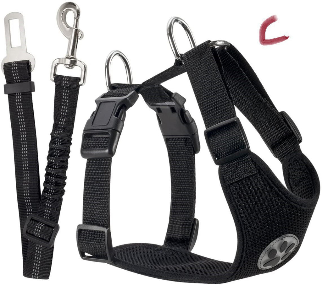 Reflective Dog Leash – Small & Medium Dogs – alternate view 5