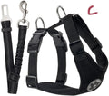 Reflective Dog Leash – Small & Medium Dogs – alternate view 5