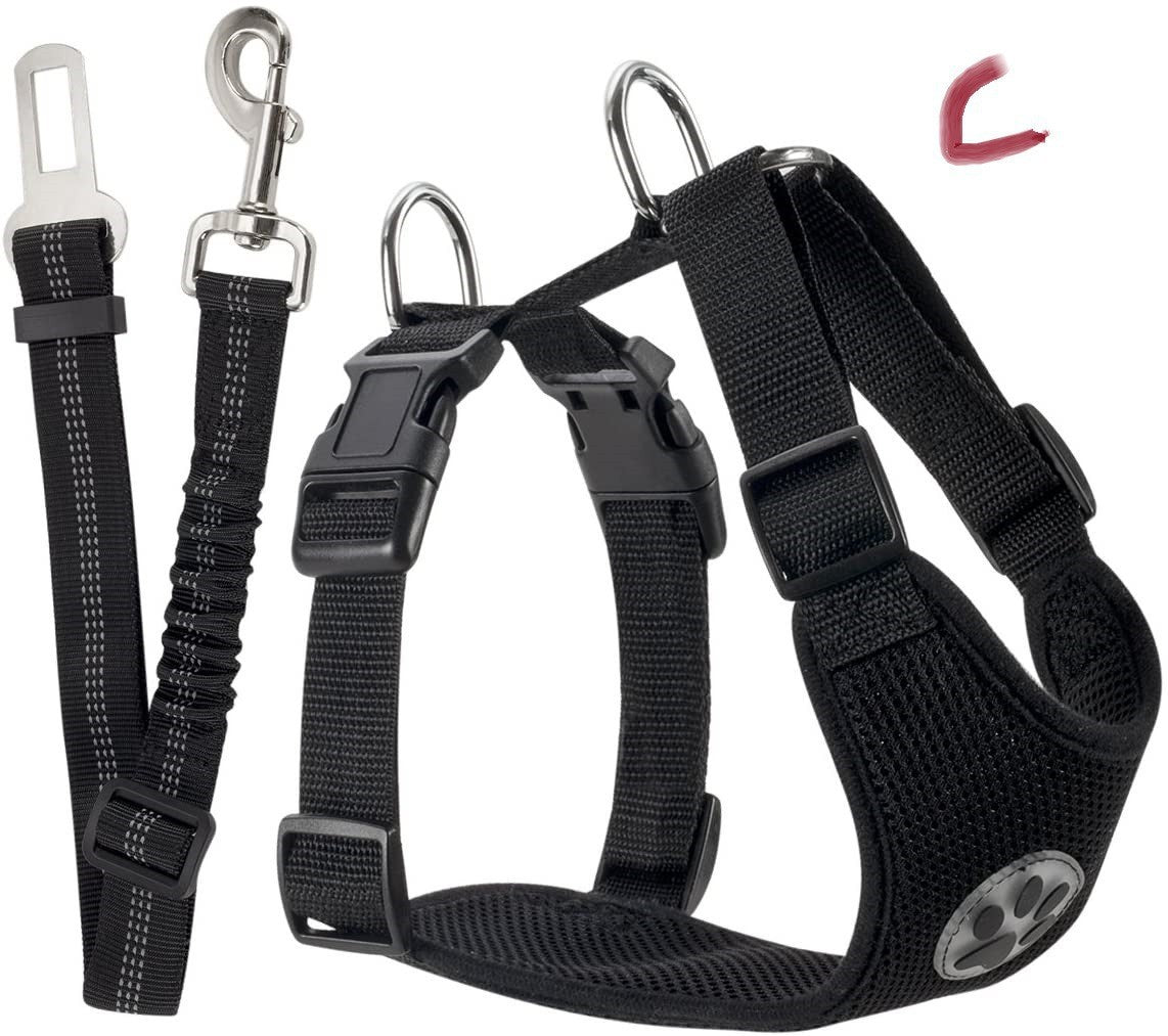 Reflective Dog Leash – Small & Medium Dogs – alternate view 5